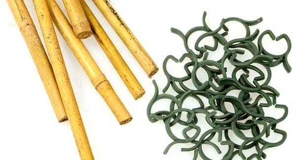 Bamboo and plant clips for supporting marijuana plants