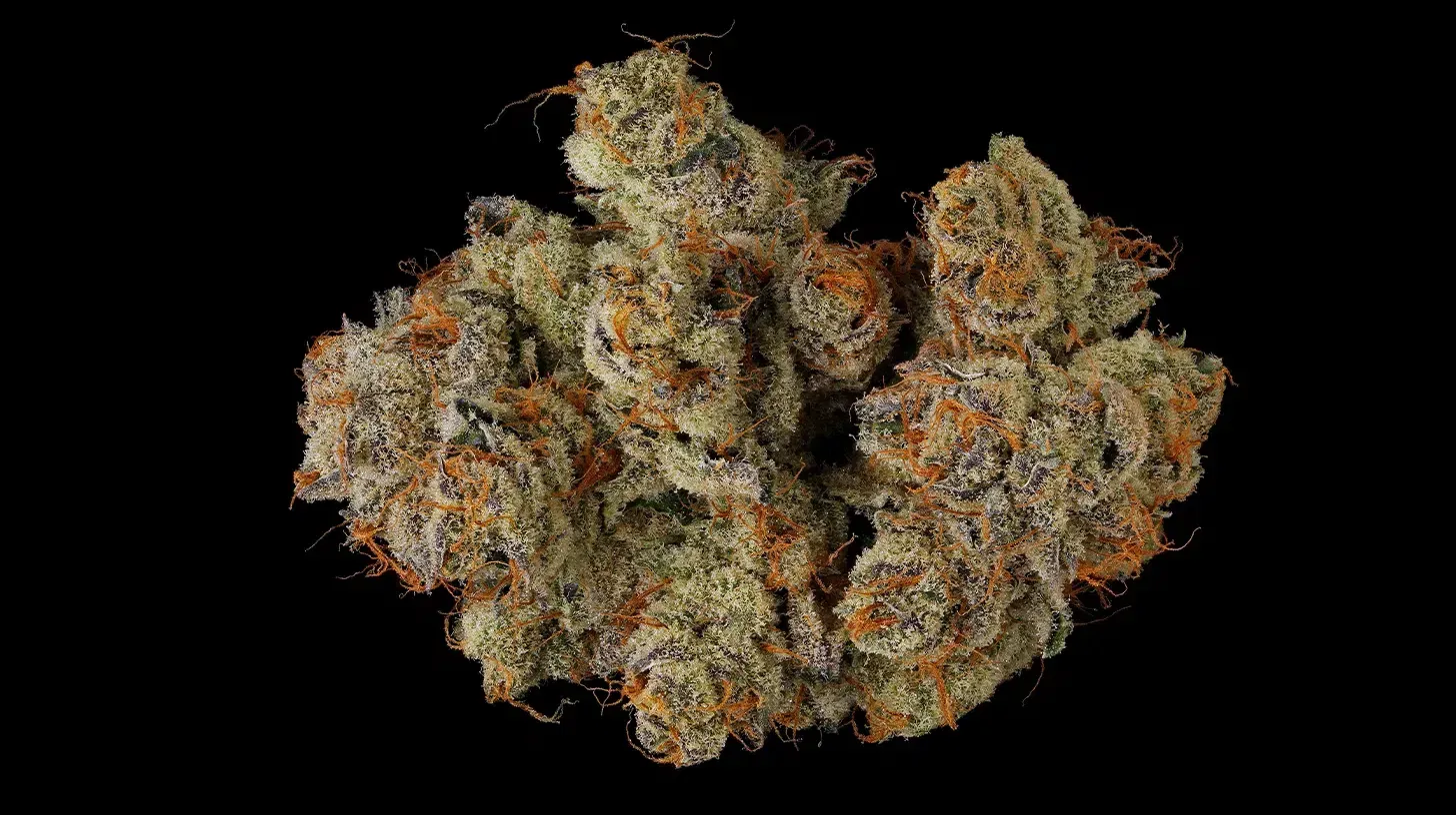 Hazy Girl marijuana bud