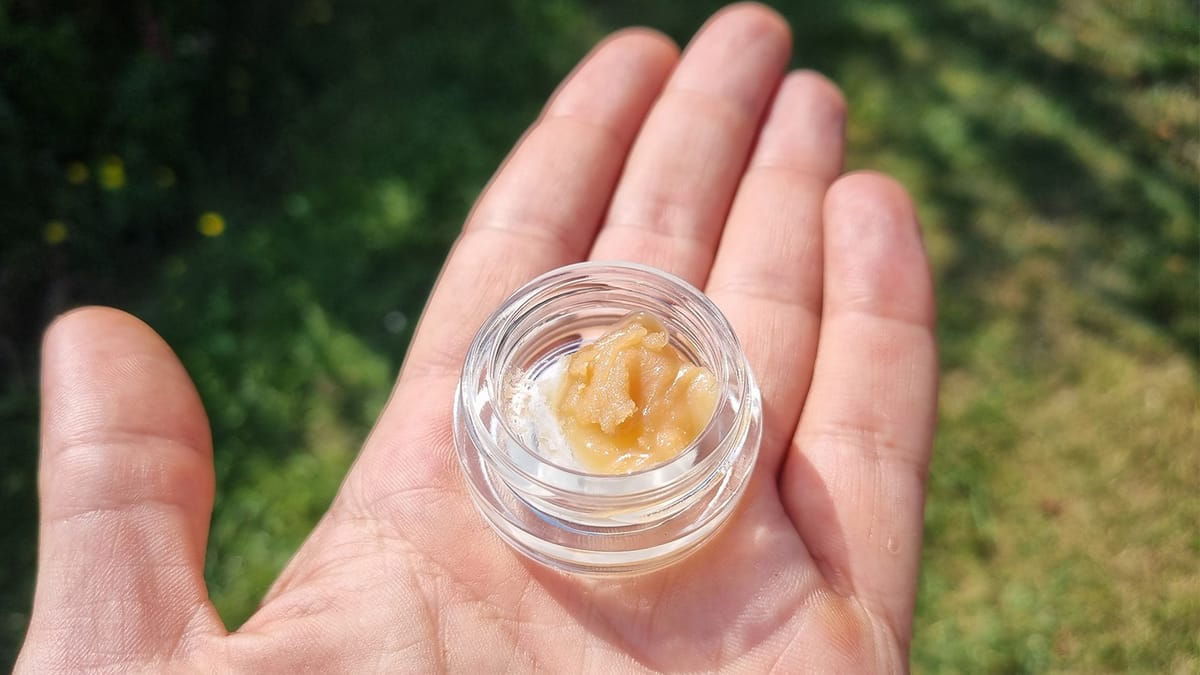 The Great Dumpers: Best Weed Strains For Making Water Hash