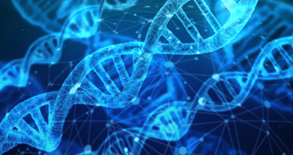 Cannabis DNA Explained for Beginners