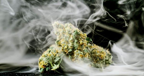 High THC Autoflowering cannabis strains