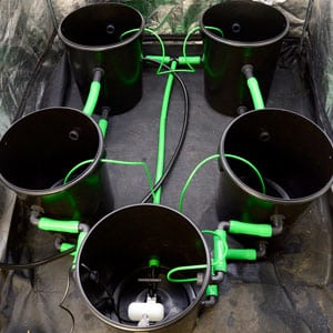 Install bubble buckets system works for hydroponic system