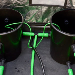 Building homemade hydroponic marijuana system step 24