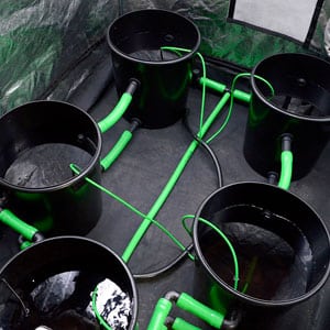 5 Bucket with water