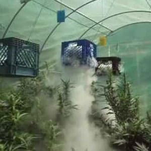 Dry ice co2 for marijuana plants