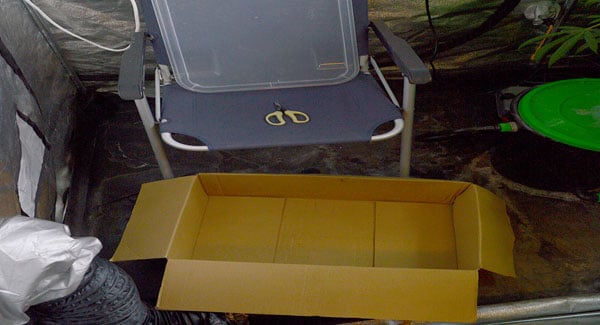 Chair and box for drying marijuana
