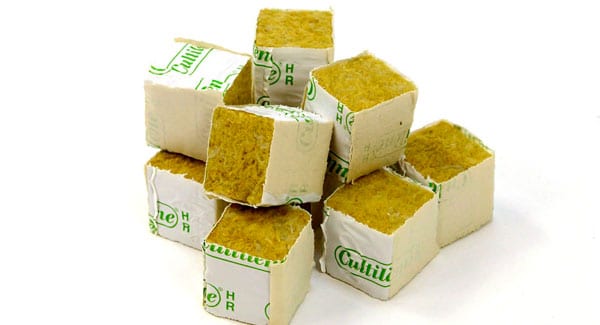 Small rockwool cubes for making marijuana clones