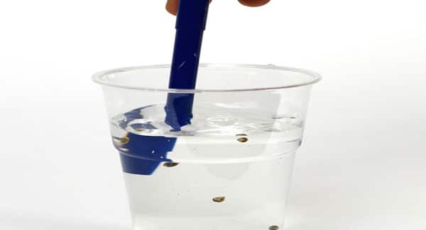 Stirring water with marijuana seeds in it