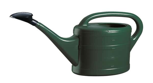 Watering can or pump for marijuana plant