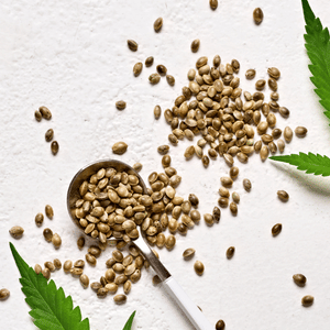 indica marijuana seeds