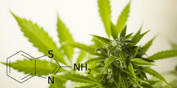 nitrogen for marijuana