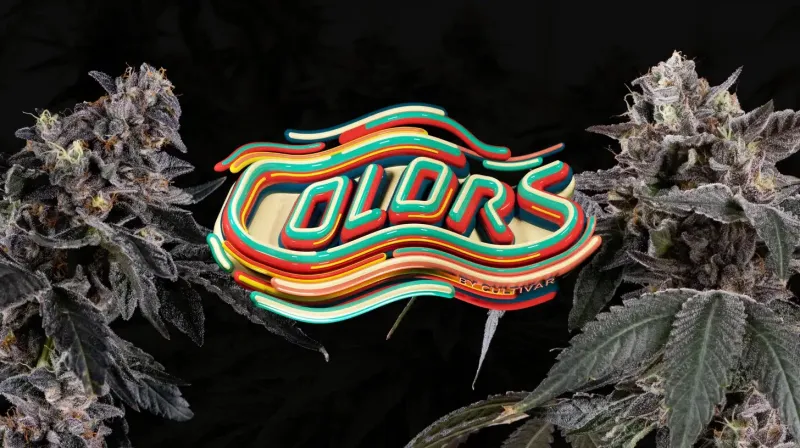 Colors By Cultivar x ILGM
