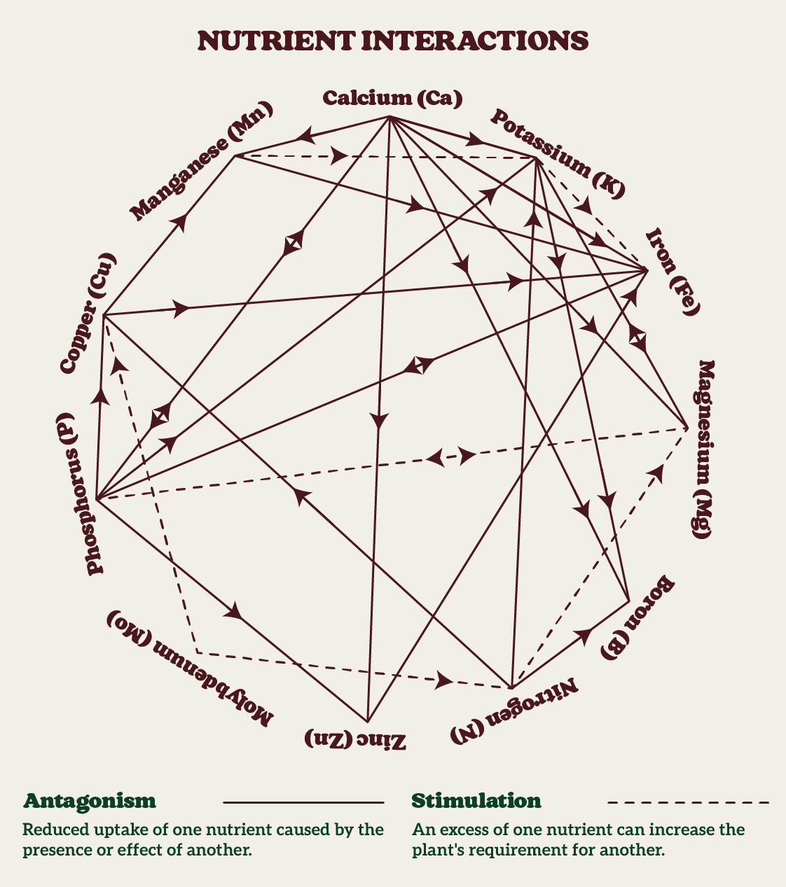 Diagram of nutrient interactions in plants, showing antagonism and stimulation effects among nutrients like calcium, potassium, and nitrogen.