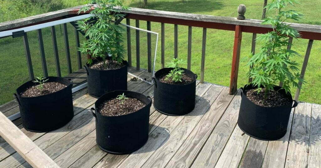 An image showcasing various pot sizes suitable for growing autoflowering cannabis plants, emphasizing the importance of choosing the right size for healthy root development and yield.