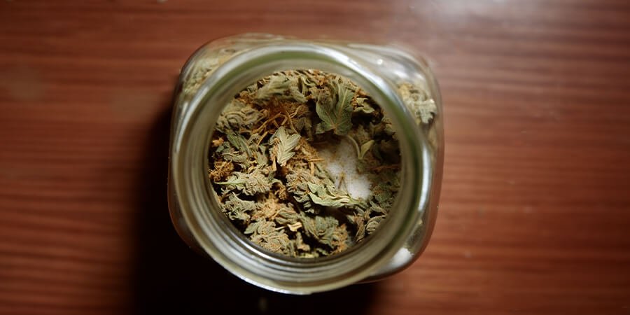 Close-up of a cannabis bud affected by bud rot, with moldy, brown areas on the flowers, indicating a need for prompt action to prevent further damage.