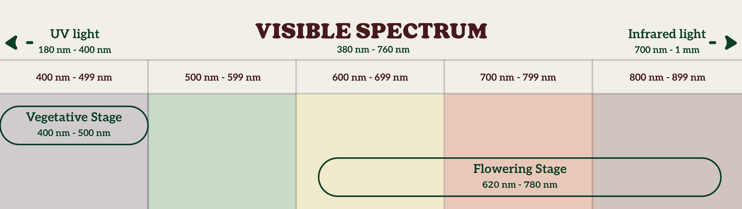 A horizontal chart of the visible spectrum, displaying colors from violet to red in a gradient. It includes corresponding wavelengths, ranging from approximately 380 nm (violet) to 750 nm (red), with labels for each color band.