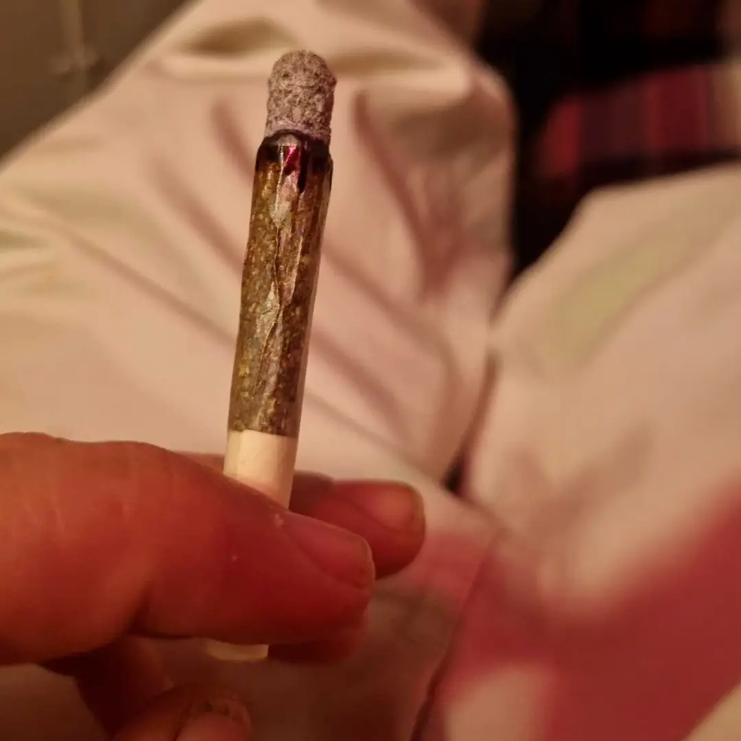 Hand holding a partially smoked joint with ash on top, against a blurred background of white and red fabric.