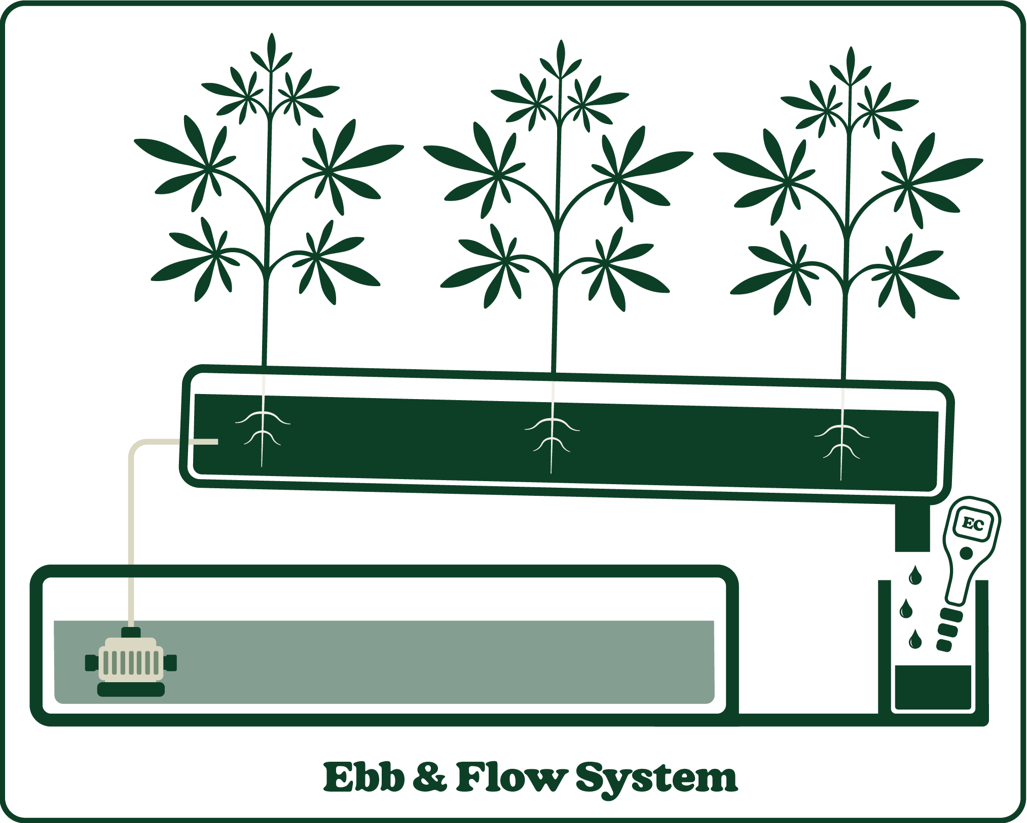 Diagram of an ebb and flow hydroponic system with plants, showing water and nutrient flow between a reservoir and a planting tray.
