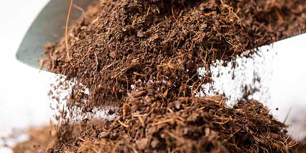 A pile of coco coir, a sustainable growing medium used for cannabis cultivation that retains moisture and improves root health.