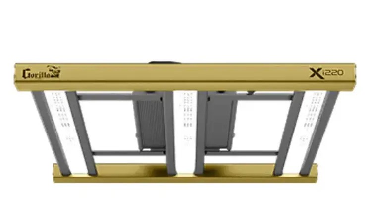 Best LED Grow Light for Small Tents