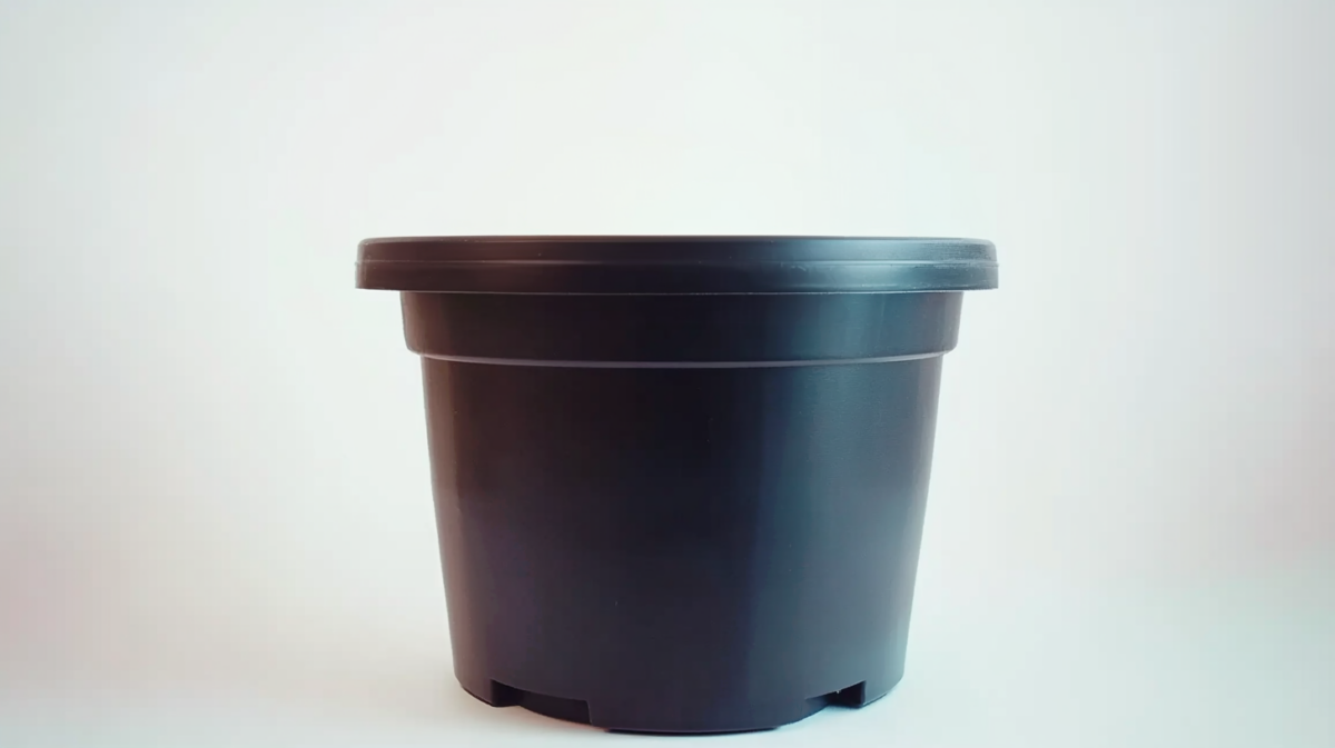 A plastic pot with drainage holes at the bottom, ideal for growing cannabis. The lightweight material allows for easy movement, and the pot helps maintain proper root health through drainage.