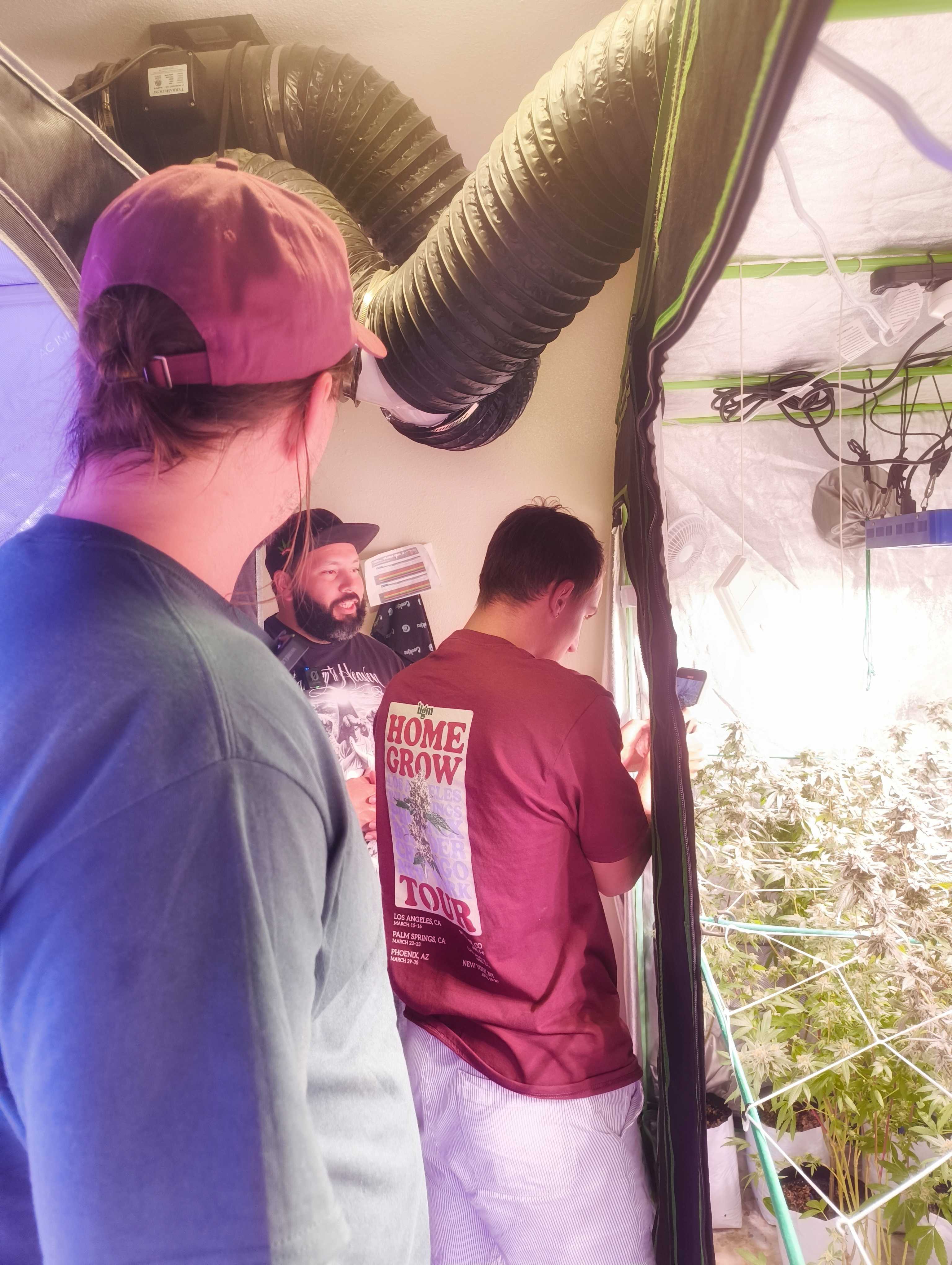 Alex showing his grow to the ILGM team