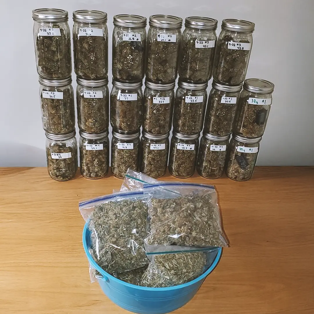 Jars filled with dried herbs are stacked against a wall. A blue bowl holds plastic bags of similar dried herbs on a wooden surface.