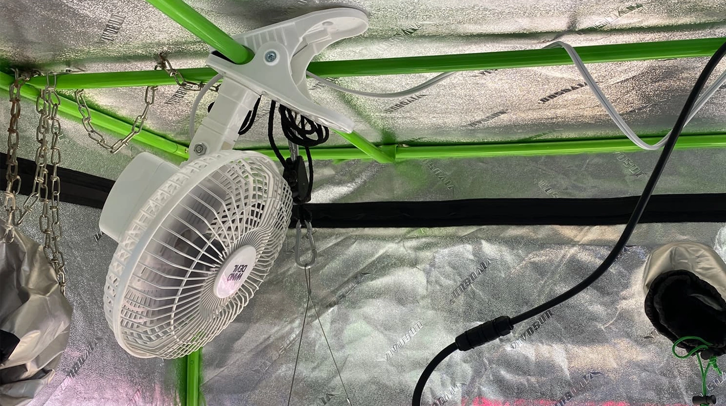 An oscillating fan positioned in a grow room, gently moving air to enhance plant health and maintain a consistent environment. The fan helps reduce humidity buildup and ensures even light distribution.