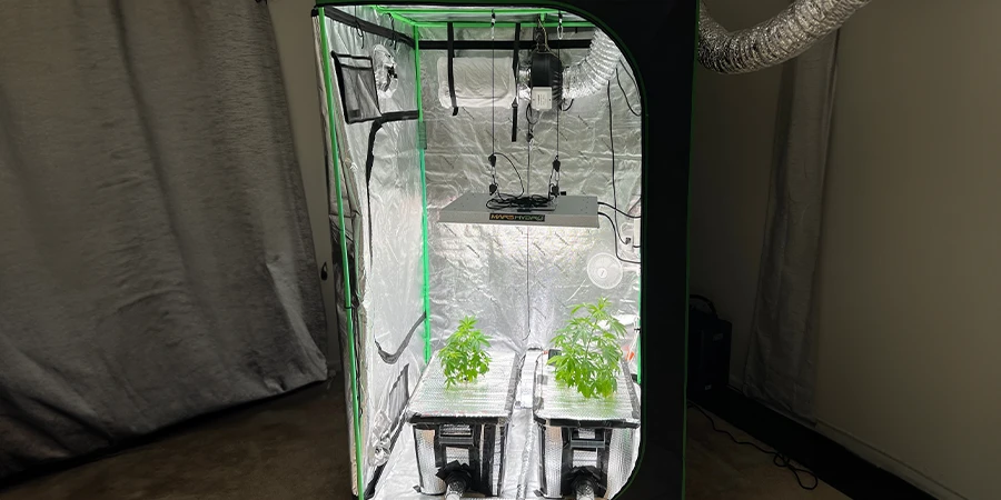 An indoor grow tent positioned in a dark room, ideal for controlling light exposure to cannabis plants, ensuring healthy growth with a dark cycle for flowering.