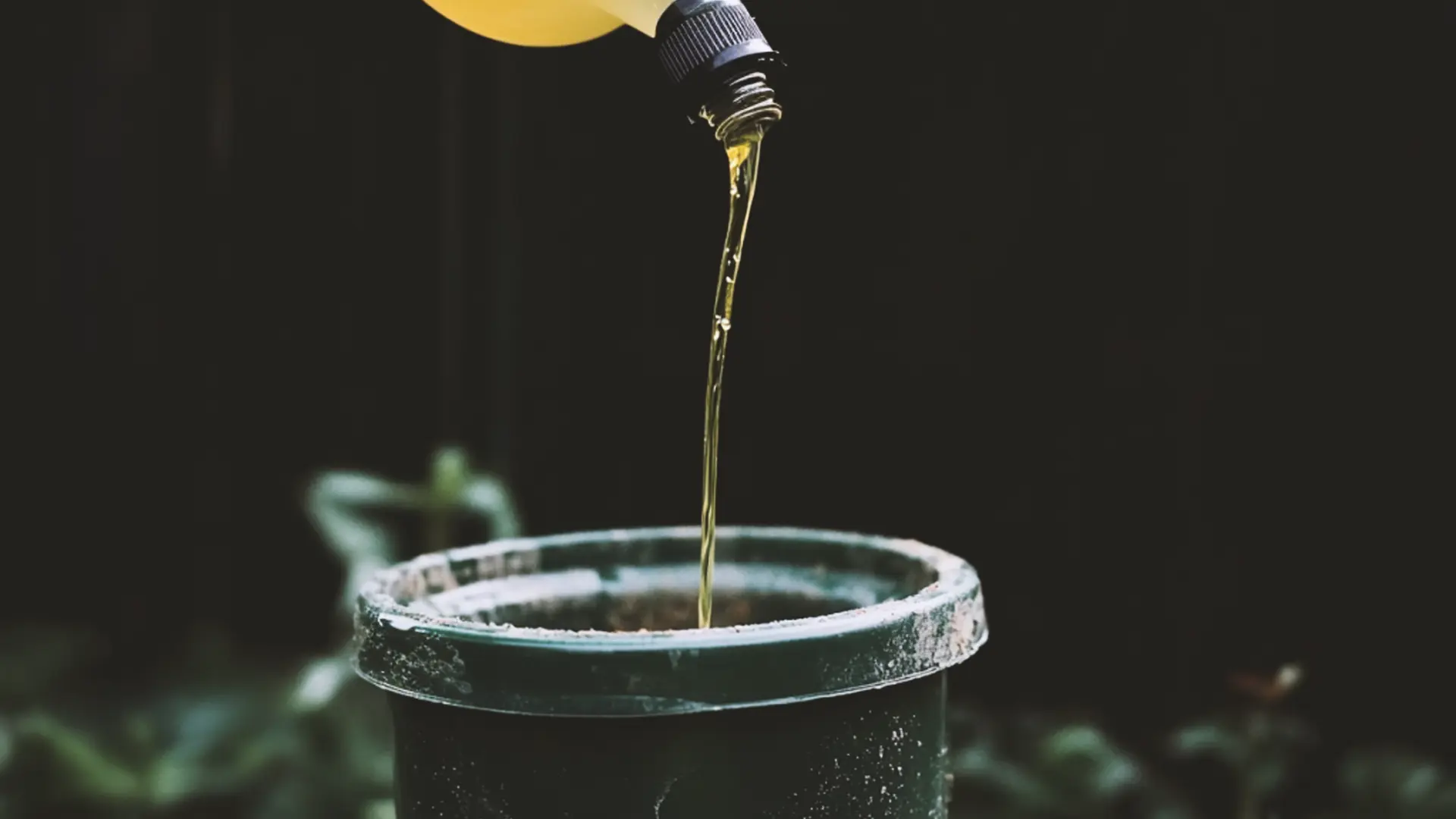 Yellow liquid being poured from a bottle into a green plastic pot, with a dark background and some greenery visible.