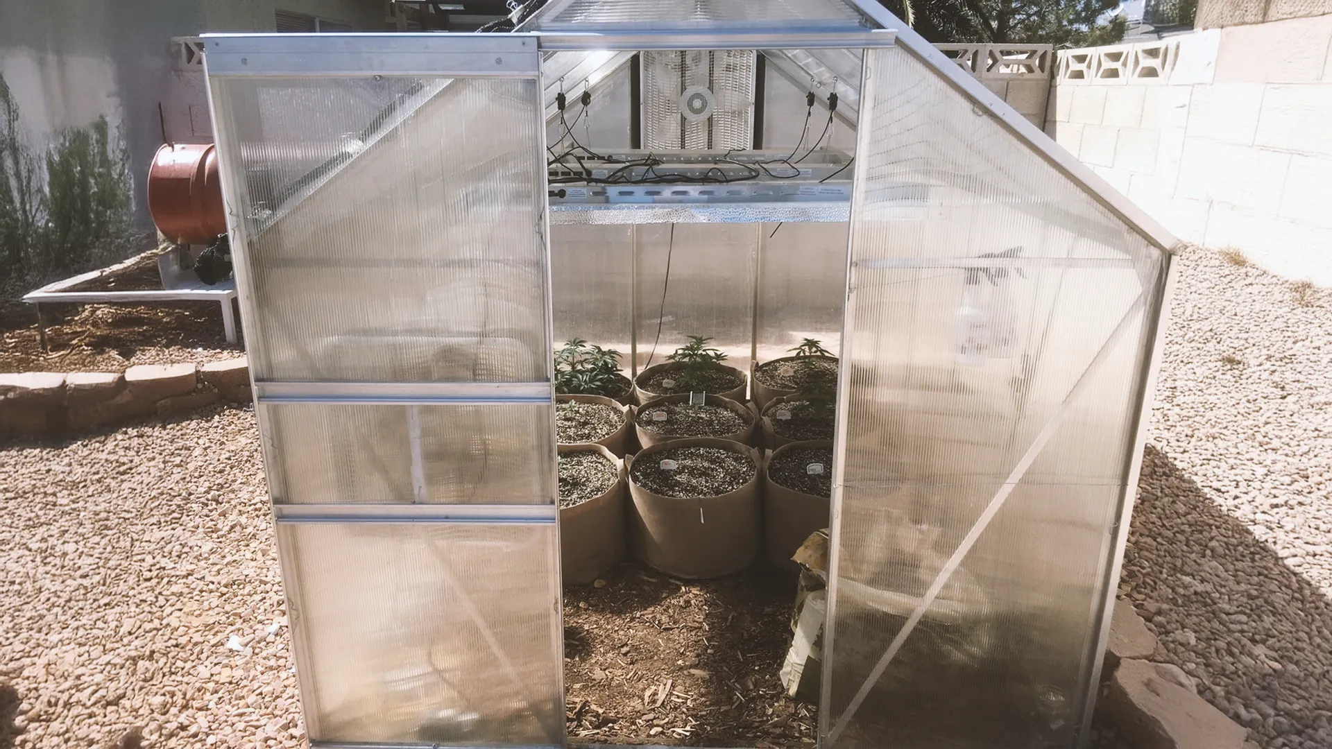 Small greenhouse with transparent panels, housing several potted plants on a gravel floor, surrounded by a garden area.