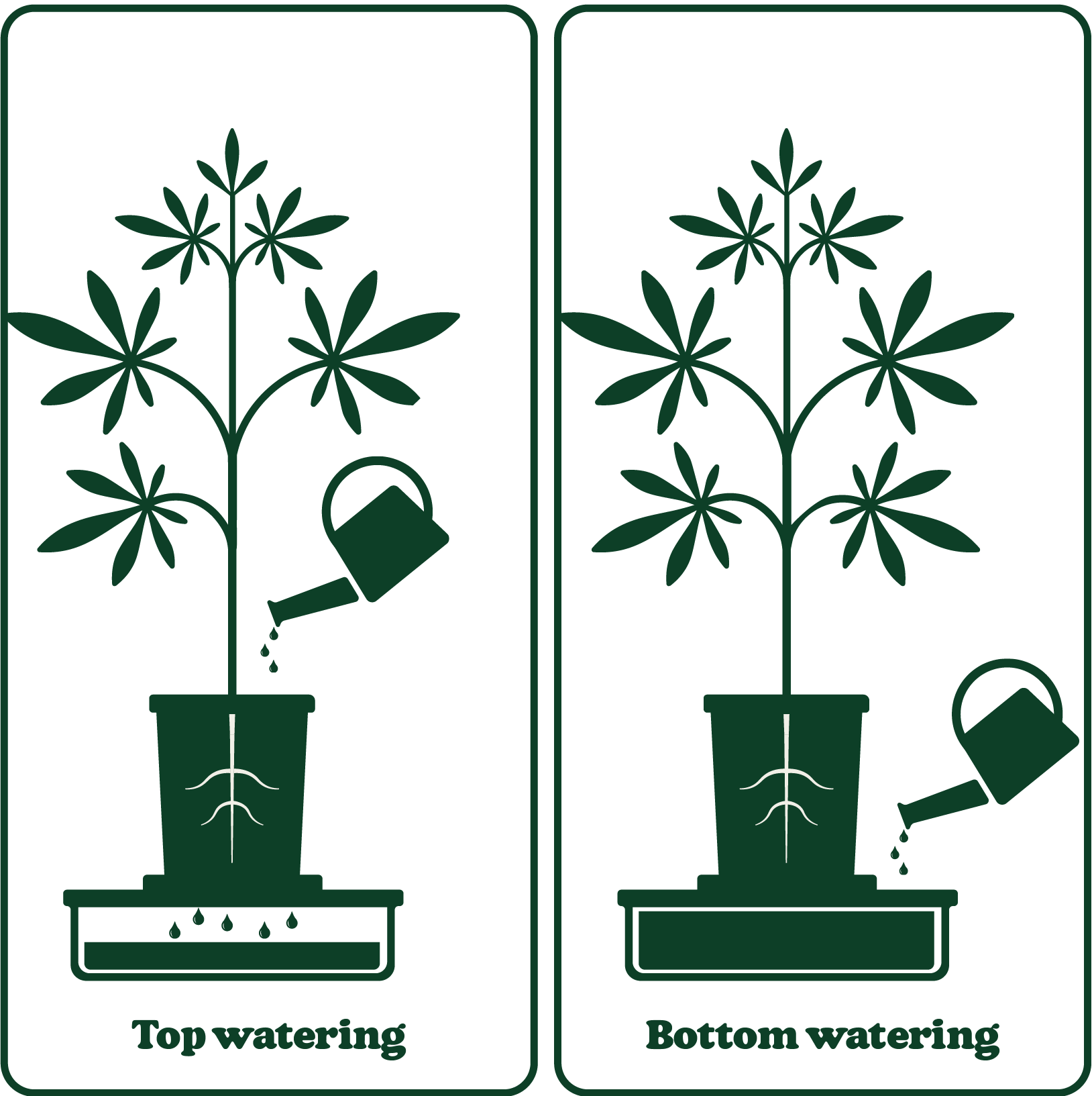 Top and bottom watering