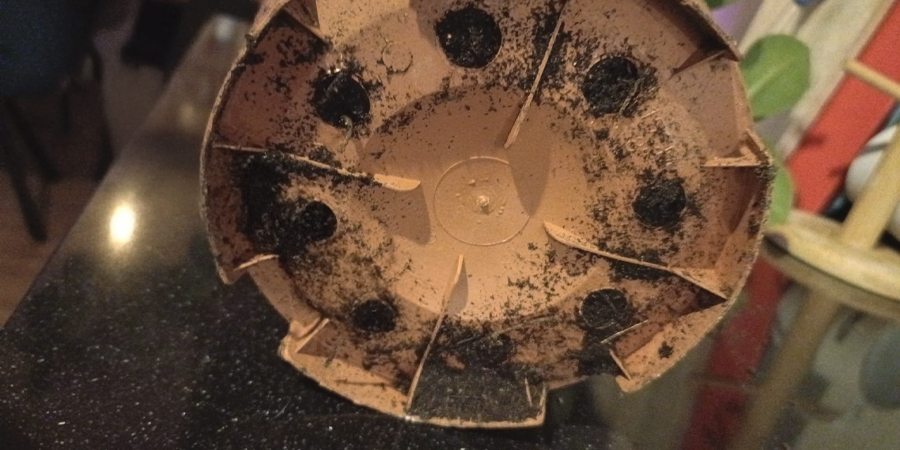 An image focusing on the drainage holes at the bottom of a plant pot, allowing excess water to escape. This feature is essential for preventing waterlogging and promoting healthy root growth in cannabis plants.