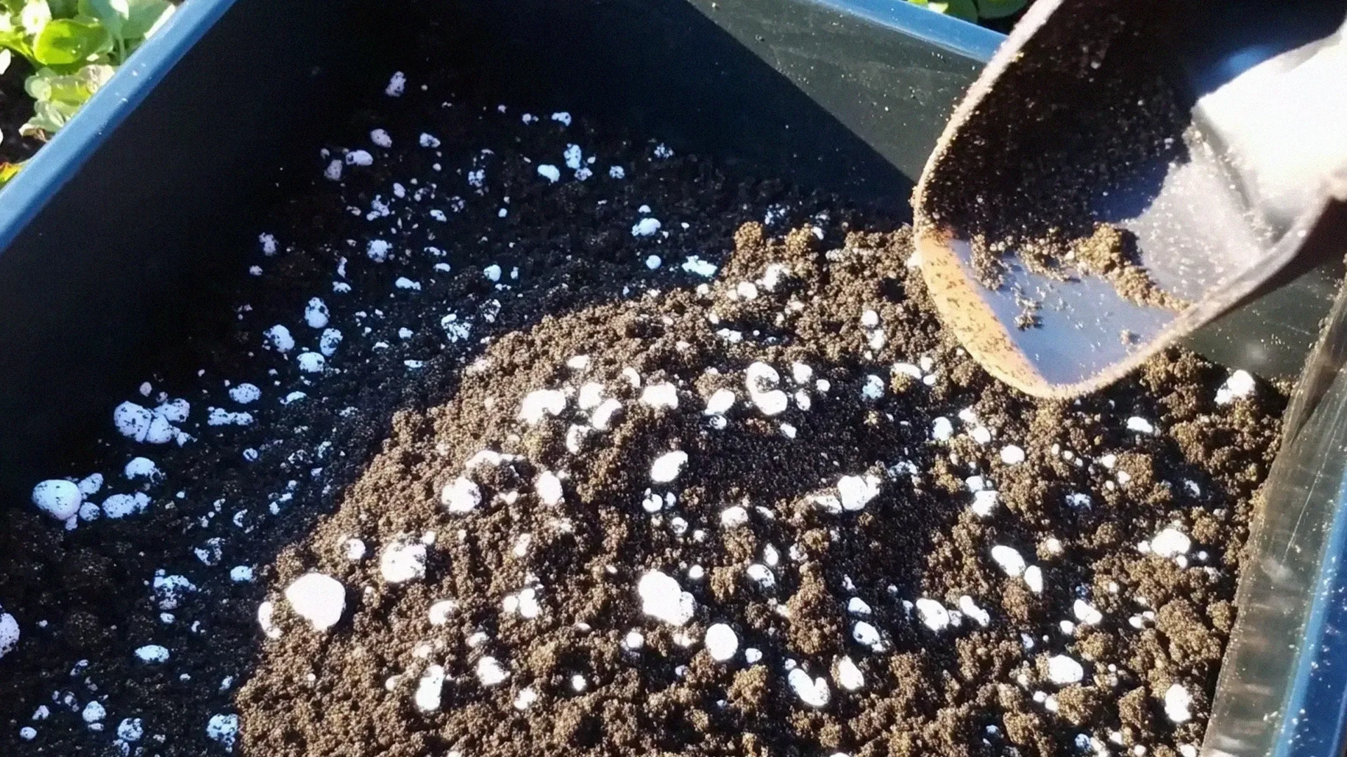 Perlite and Soil mix