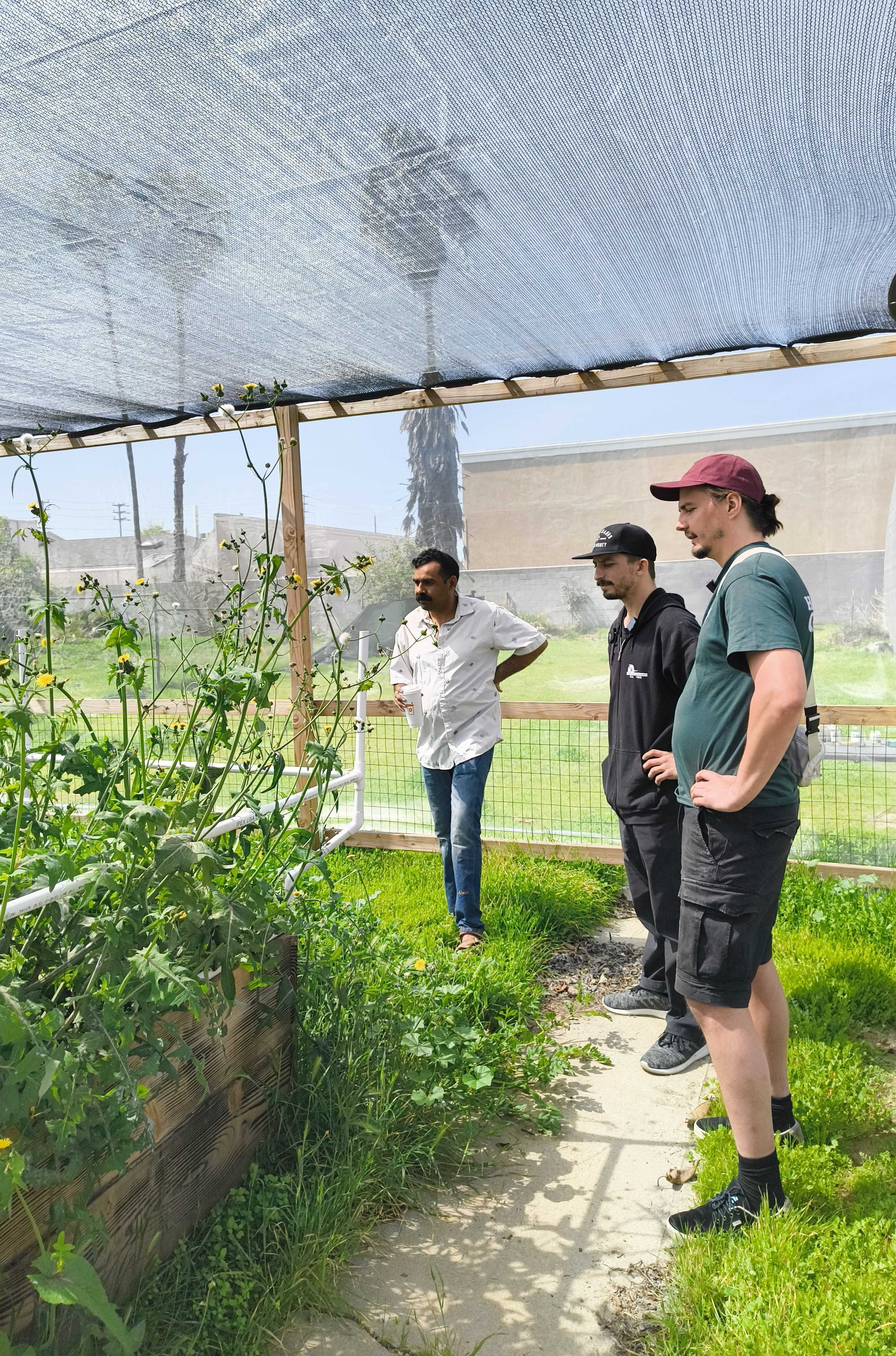 Cody from Raising Trichomes (black cap) and Cam from Living Soil