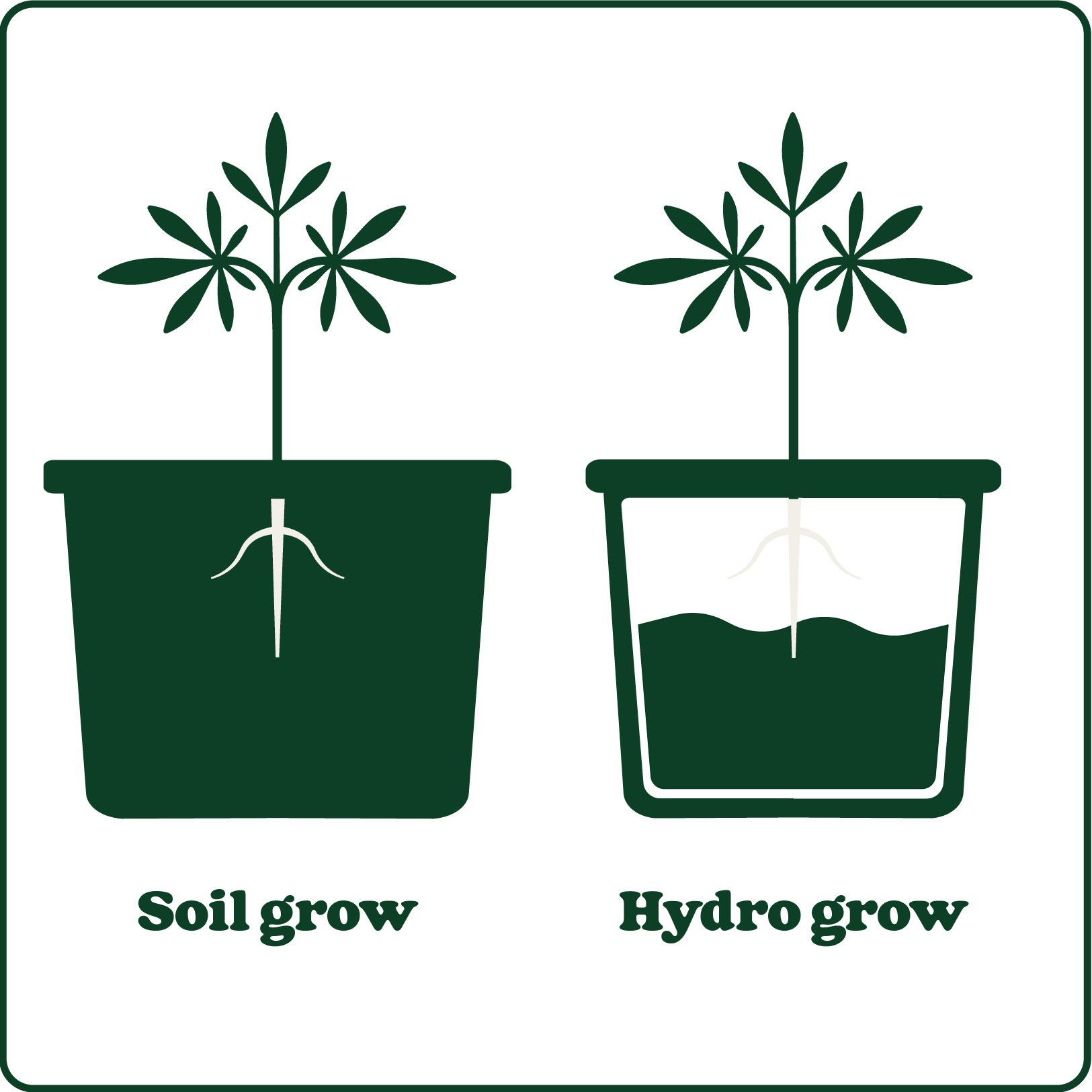 Illustration comparing soil grow and hydro grow methods, showing plants in pots with roots in soil and water, respectively.