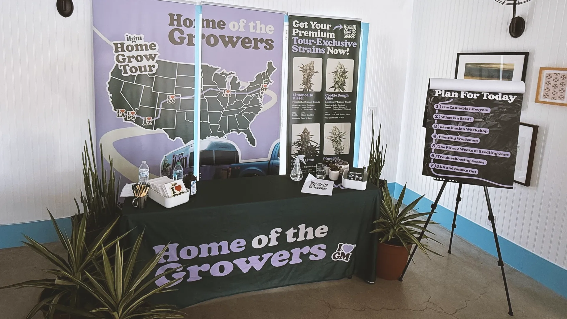 Palm Springs - Grow Class 2