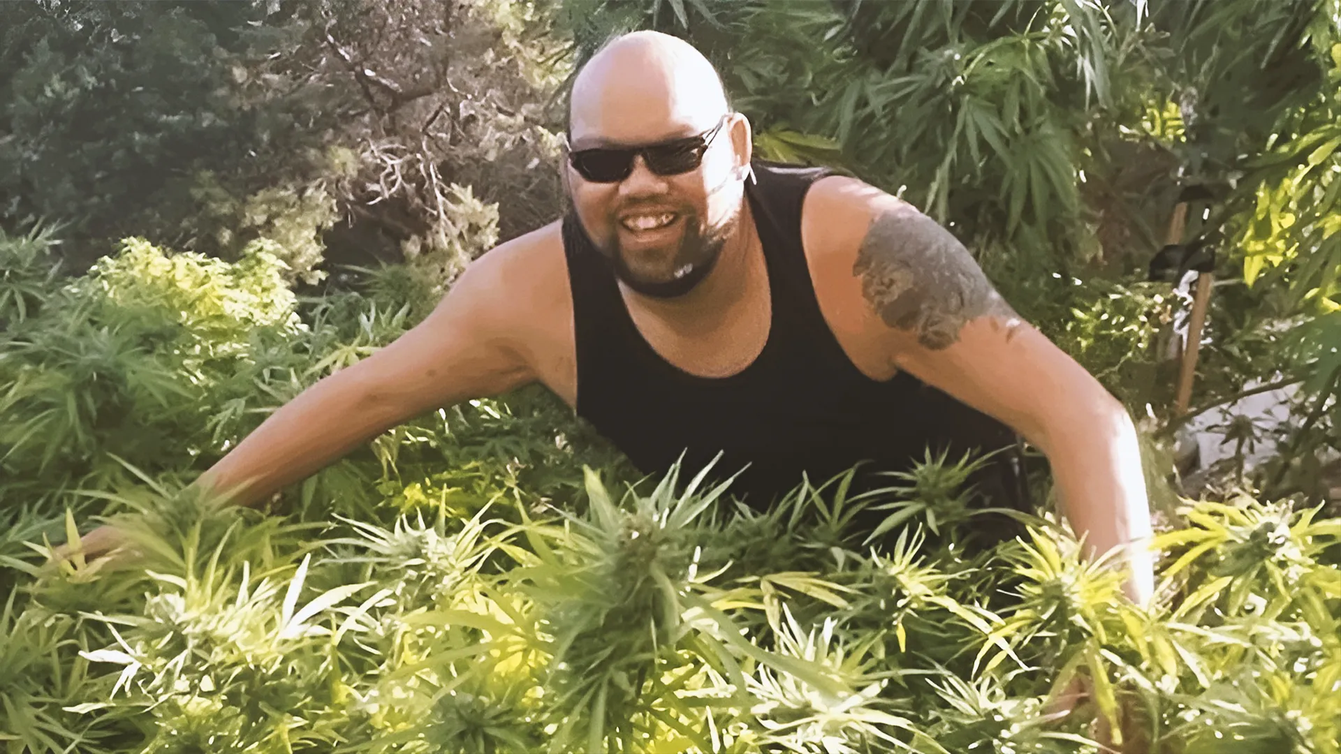 Man in sunglasses and a black tank top smiling while standing among lush green plants.