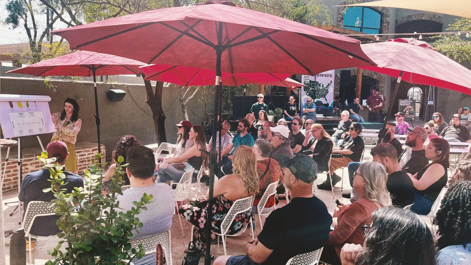 Dr Riley Kirk presenting Cannabis 101
