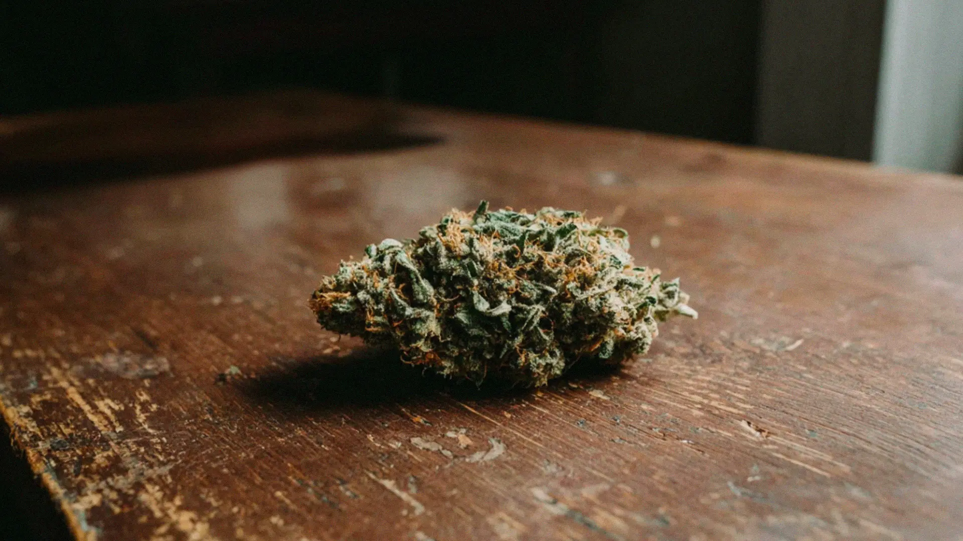 A cannabis bud rests on a wooden table, showcasing its textured surface and greenish-brown hues.