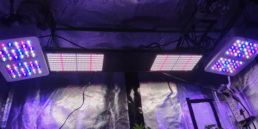 A grow room equipped with multiple LED grow lights, providing full coverage to cannabis plants at all growth stages. The setup ensures uniform light distribution and energy efficiency.