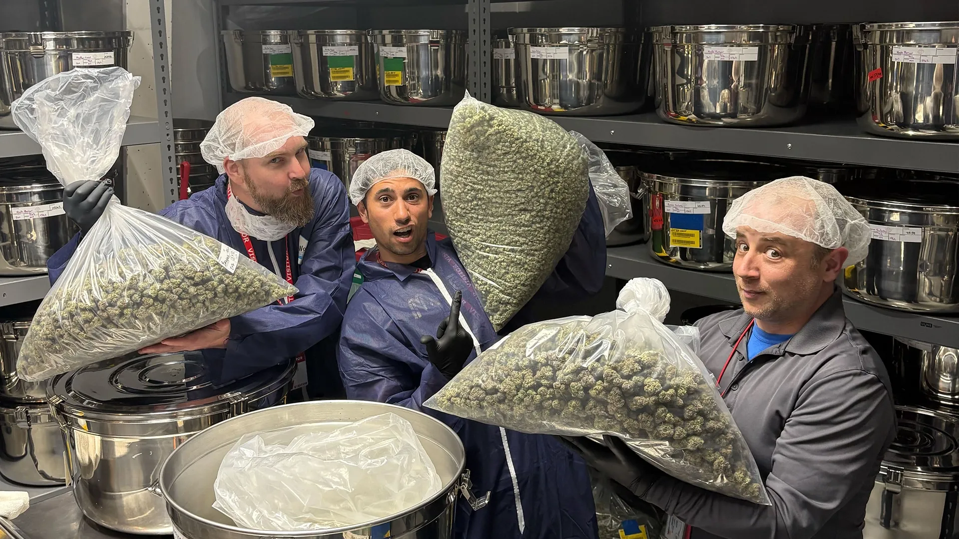 Three people in protective gear hold large bags of cannabis buds in a storage room with metal containers on shelves.