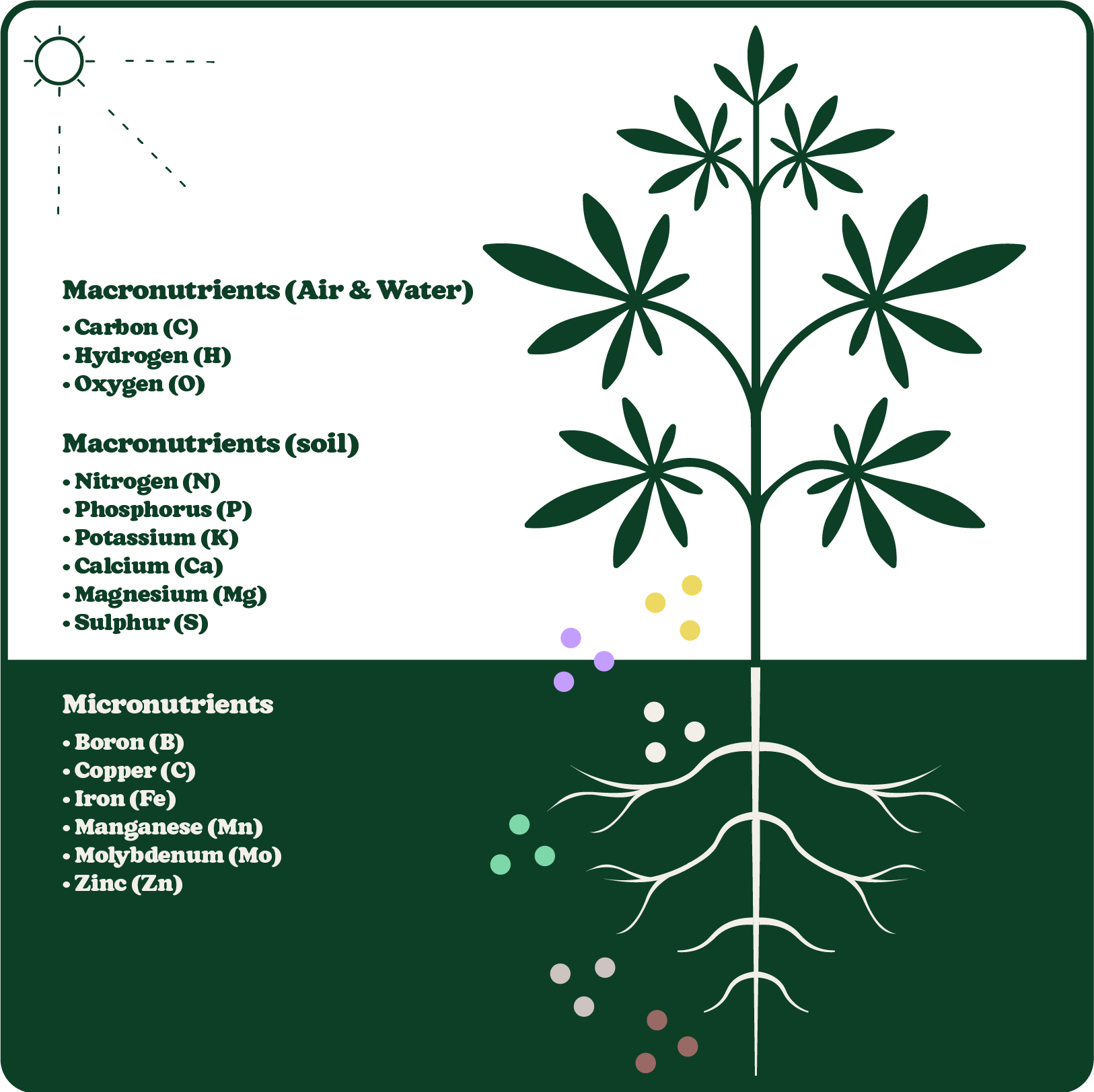 Diagram of a plant showing macronutrients and micronutrients, with labeled sections for air, water, and soil elements, and colored dots for nutrients.