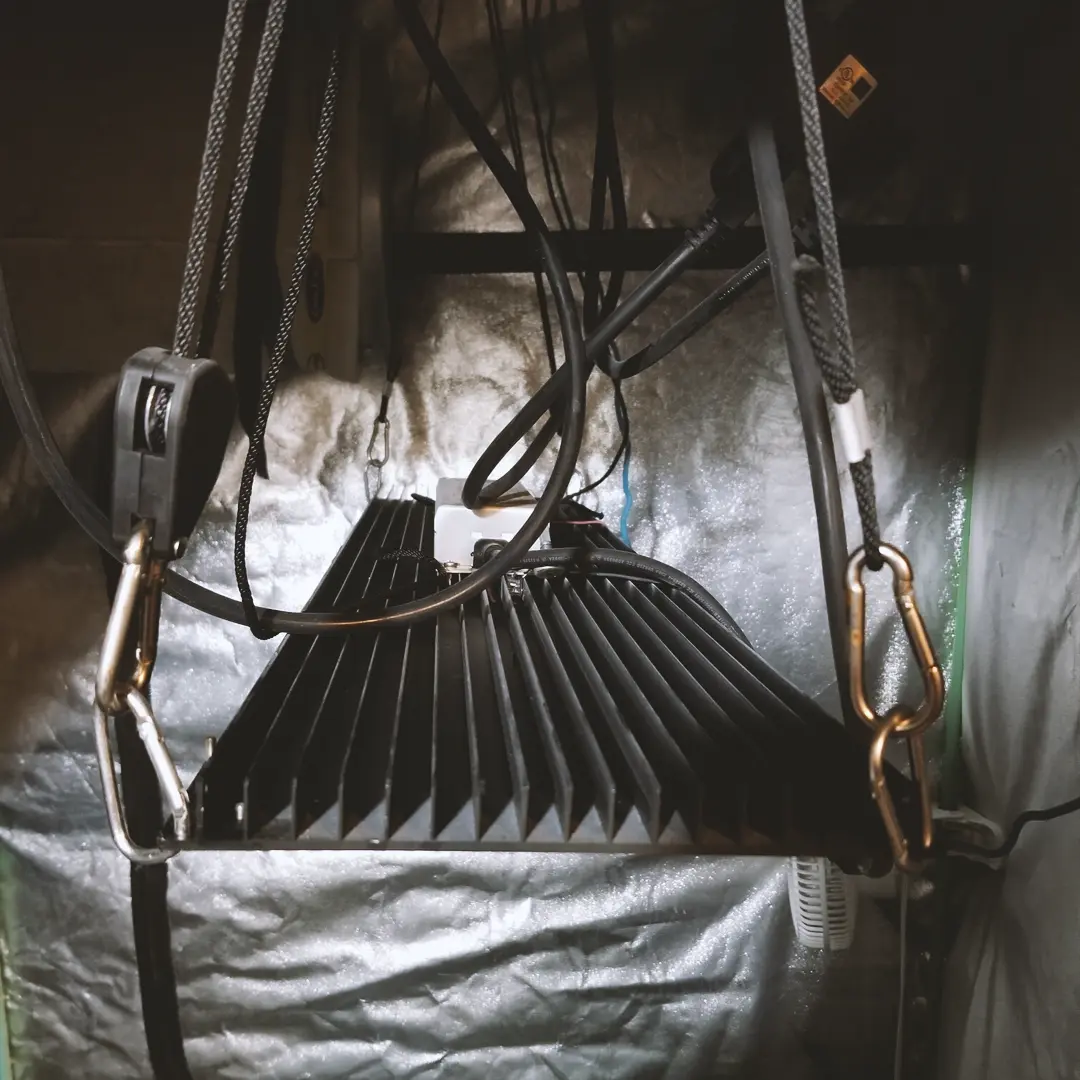 Hanging black LED grow light with cooling fins, suspended by adjustable ropes and carabiners in a reflective grow tent.