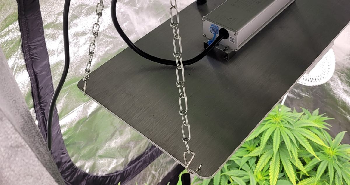A close-up of a sturdy chain used to suspend lighting fixtures in a grow room. The adjustable chain allows for precise control over the height of the lights to accommodate plant growth.