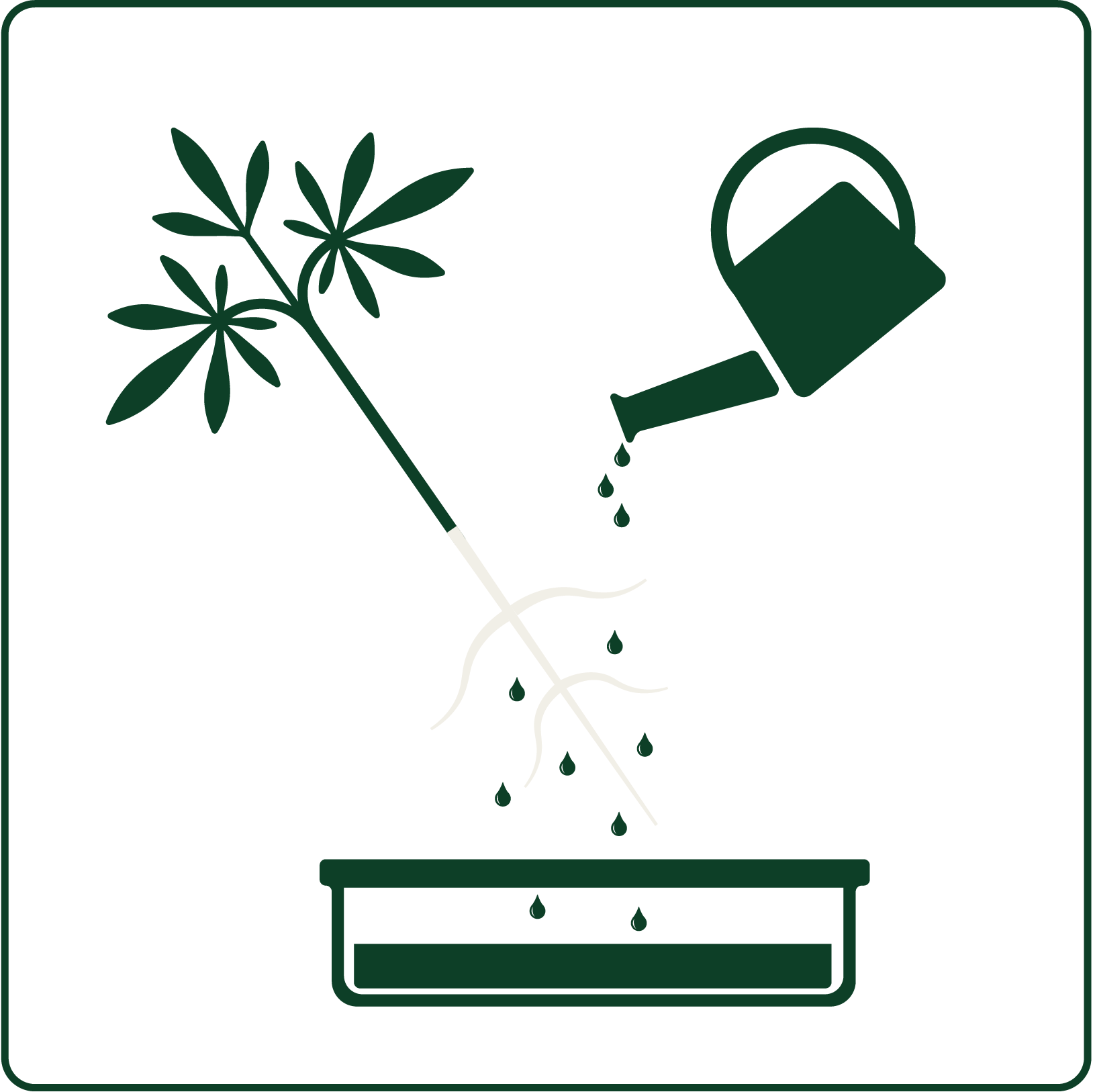 Rinse the roots with water