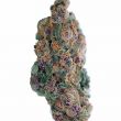 Blueberry CBD Autoflower Marijuana Bud