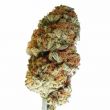 Bubblegum Feminized Marijuana Bud