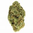 Cheese Feminized Cannabis Bud