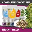 marijuana high yield grow kit big bud